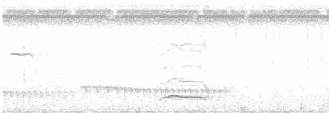 Large-billed Tern - ML616769028