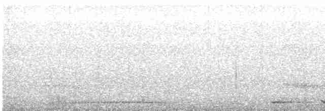 Kısa Gagalı Kızılca Güvercin - ML616769051