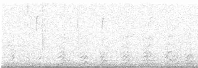 Pileated Woodpecker - ML616769242