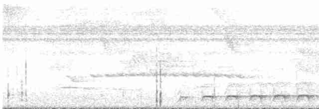 Lattice-tailed Trogon - ML616771924