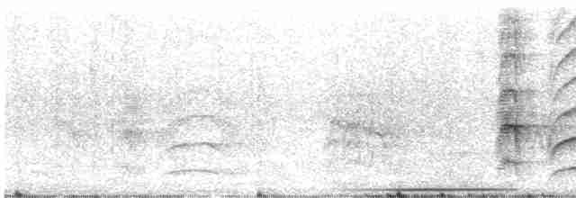 Büyük Kiskadi Tiranı - ML616772257