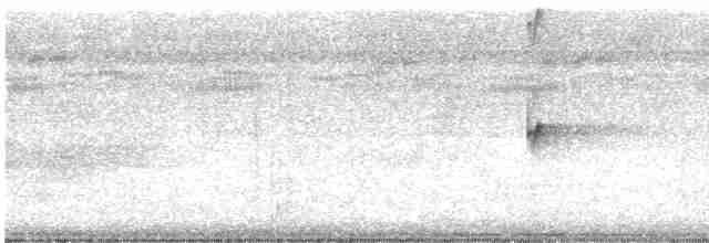 Kara Tepeli Küçük Tiran - ML616773253