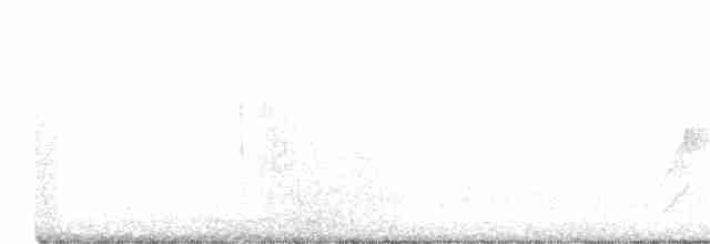Strichelbaumspäher - ML616773657