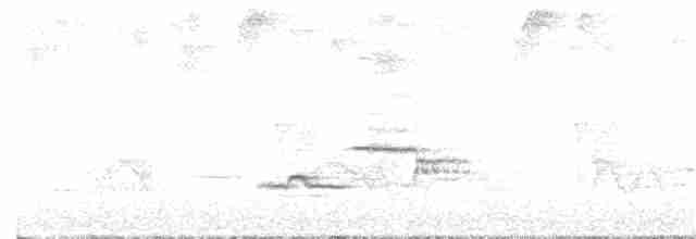 Дрізд-короткодзьоб гірський - ML616775641