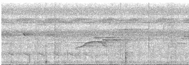 Пестрокрылый мухоед (obscuriceps) - ML616776095