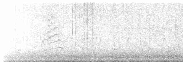 Green-tailed Towhee - ML616778514