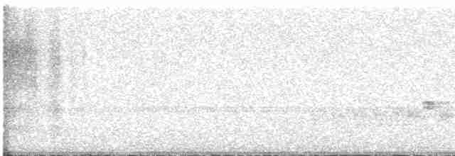 Buff-collared Nightjar - ML616779757