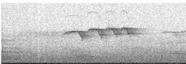 Kestane Kulaklı Arapbülbülü - ML616781761