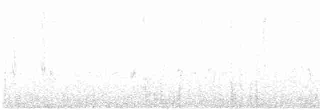 Шишкар ідагоський - ML616782076