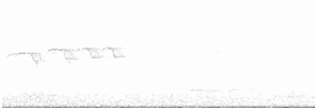 Kestane Kulaklı Arapbülbülü - ML616782777
