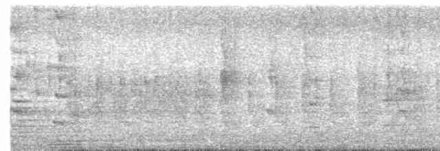 セスジツバメ - ML616783084
