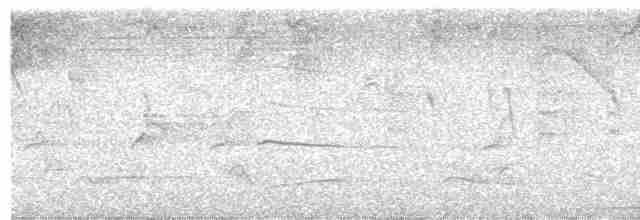 holub šedočelý - ML616783762