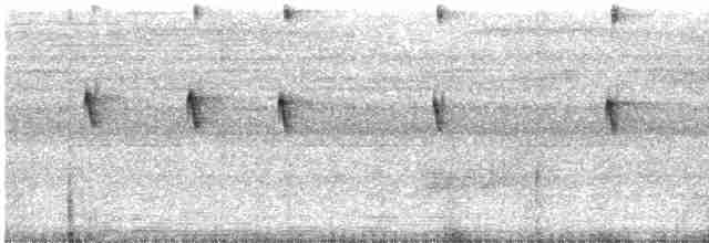 Прямоклювый колибри-отшельник - ML616785346