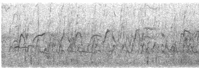 Dendrocygne siffleur - ML616785520