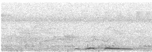 hrdlička kropenatá - ML616785573