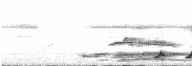 Puerto-Rico-Nachtschwalbe - ML616786575