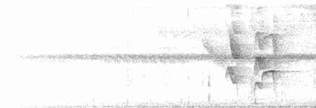 Graustirn-Dickichtschlüpfer - ML616787368