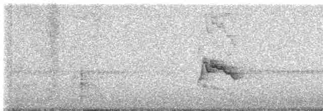 Graumantel-Brillenvogel - ML616787932