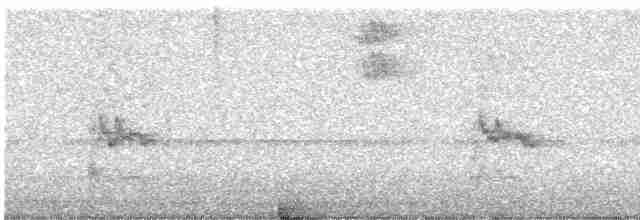 Окулярник сивоспинний - ML616787934