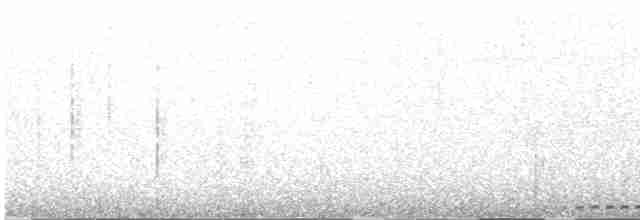 Grallaire ondée - ML616791145
