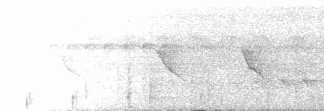 Kuzeyli Bükük Gagalı Tiran - ML616791583