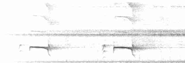 White-throated Woodcreeper - ML616792441