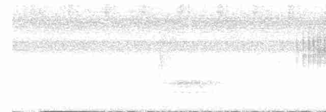 Дрізд-короткодзьоб андійський - ML616794473