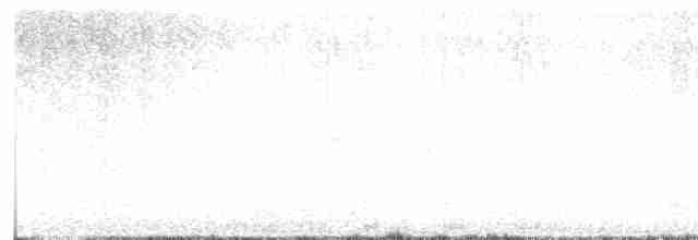 Gray-crowned Yellowthroat - ML616799520