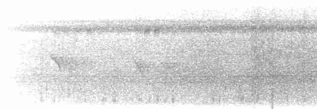 Halsband-Ameisenvogel - ML616800159