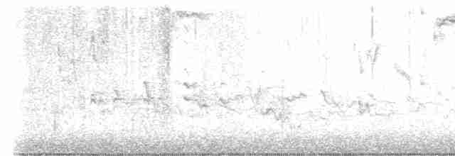 Amerika Çütresi (purpureus) - ML616800428