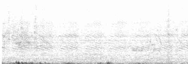 Large Gray Babbler - ML616802294
