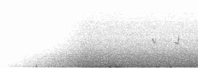 Хохлатый жаворонок [группа cristata] - ML616805427