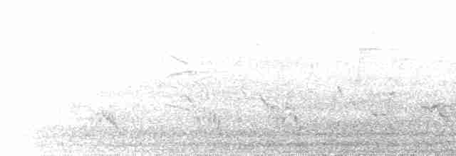 Sulphur-breasted Warbler - ML616808682