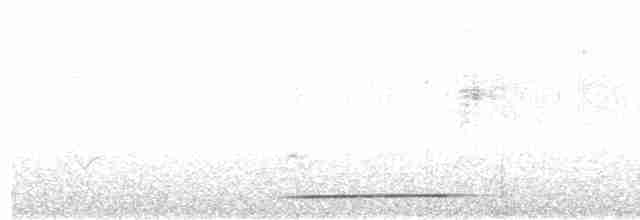 Воротничковая лесная куропатка - ML616809074