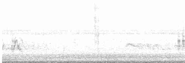 Doğulu Mavi Ardıç - ML616809514