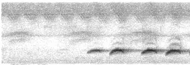 Spot-breasted Parrotbill - ML616809589
