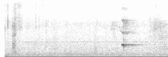 Gray-headed Woodpecker - ML616810083