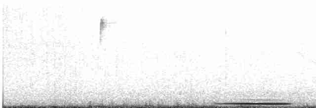 Lined Quail-Dove - ML616810618