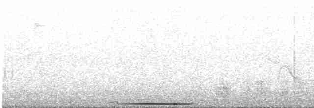 Lined Quail-Dove - ML616810619
