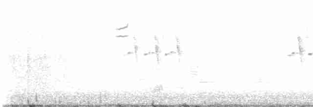 Swamp Sparrow - ML616811559
