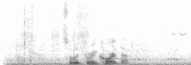 jeřáb kanadský (ssp. tabida/rowani) - ML616811613