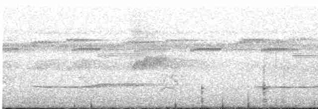 Little Tinamou - ML616811695