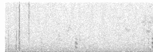 קורמורן גדול (אירואסייתי) - ML616812435
