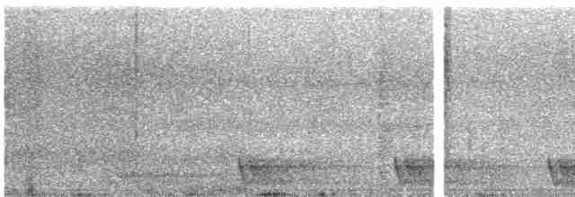Langschwanz-Nachtschwalbe - ML616813524