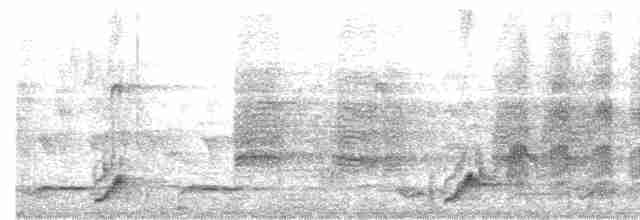 Тимелія-криводзьоб рудощока - ML616813563