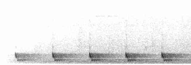 Langschwanz-Nachtschwalbe - ML616814044