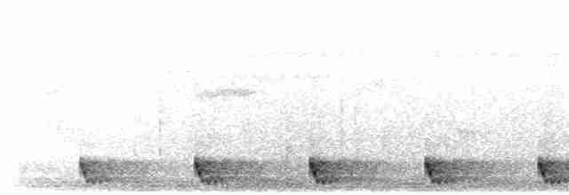 Дрімлюга великохвостий - ML616814045