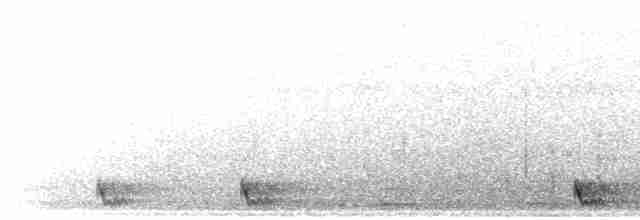 Large-tailed Nightjar - ML616814046