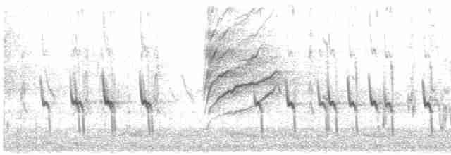 Red Crossbill (Ponderosa Pine or type 2) - ML616814257
