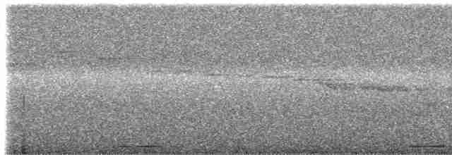 holoubek šedomodrý - ML616814606
